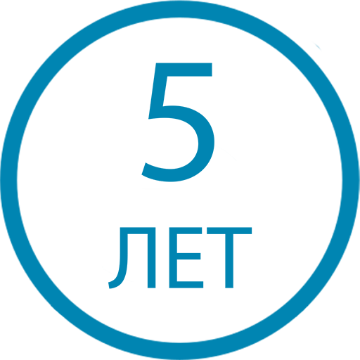 5 лет работаем на рынке IT-услуг